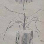Other Art Charred Series, Collection of the Artist