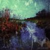 iPhonography Grasses
