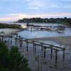 Low tide