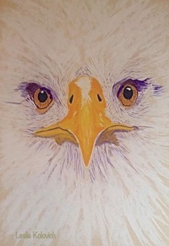 Eagle