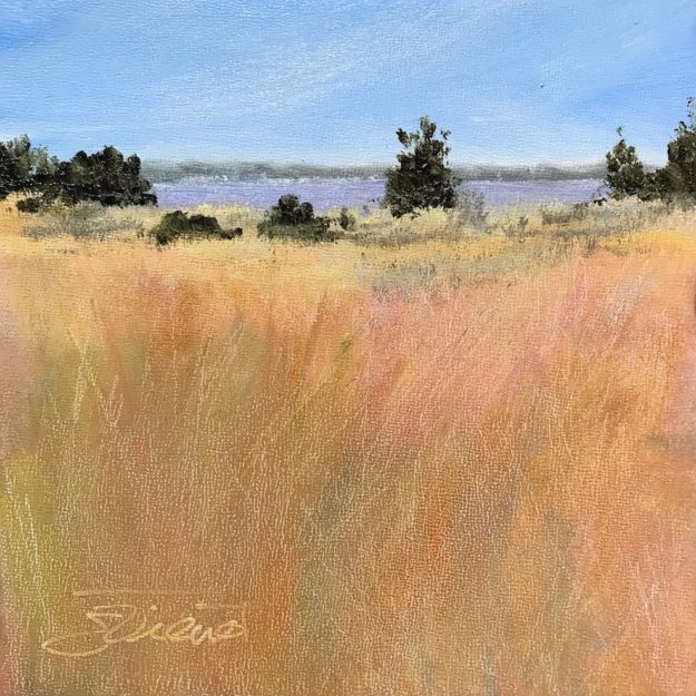 Oil painting of Gulf Islands National Seashore on Okaloosa Island