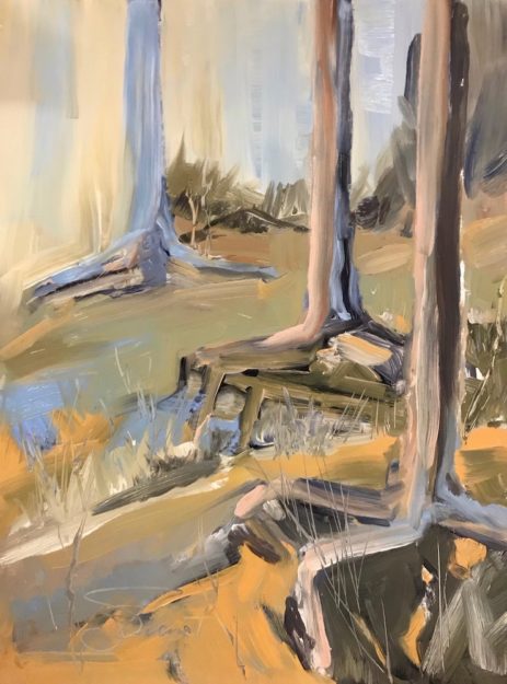 Oil painting of abstracted design of pine roots exposed by erosion on the bay shoreline
