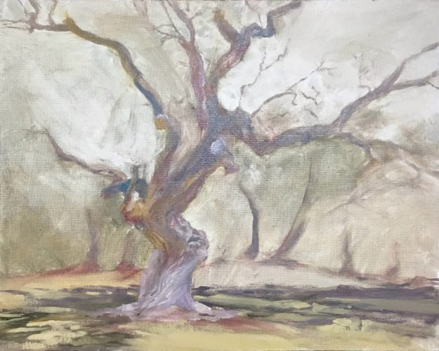 Oil painting of an ancient live oak tree on Jekyll island, GA