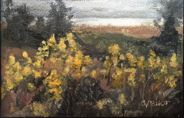 Oil painting of wildflowers in Salinas Park, mid-afternoon light