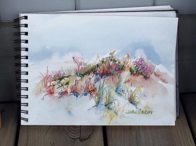 2016-0309 Dune in Bloom