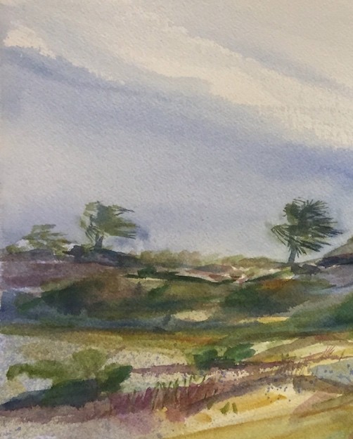 2016-0309 Windy Dunes