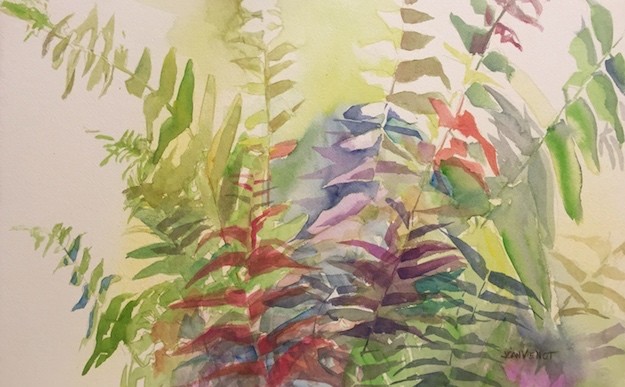 2016-0316 Monet Ferns