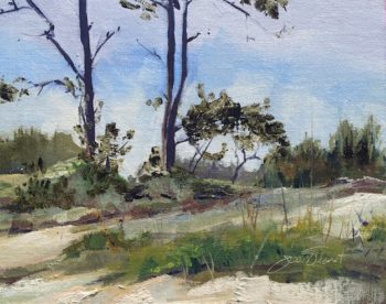 2016-0525 Gulf Islands National Seashore