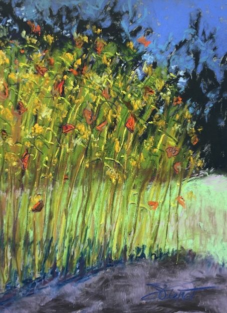 Soft pastels painting of monarchs on butterfly bush, painted en plein air at Watercolor, FL