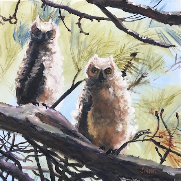 Oil painting of two immature barn owls recently flown from the nest, St. George Plantation, St. George Island, FL